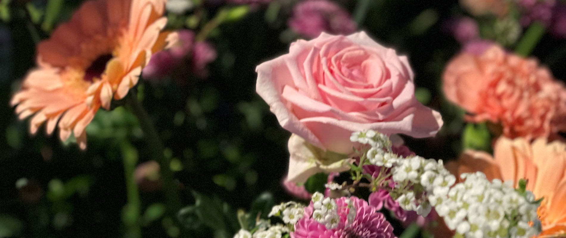 Närbild av blombukett.
